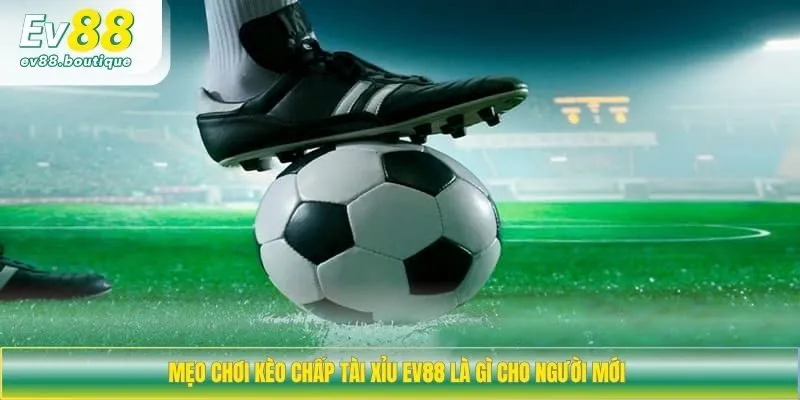 Mẹo chơi kèo chấp tài xỉu EV88 là gì cho người mới 