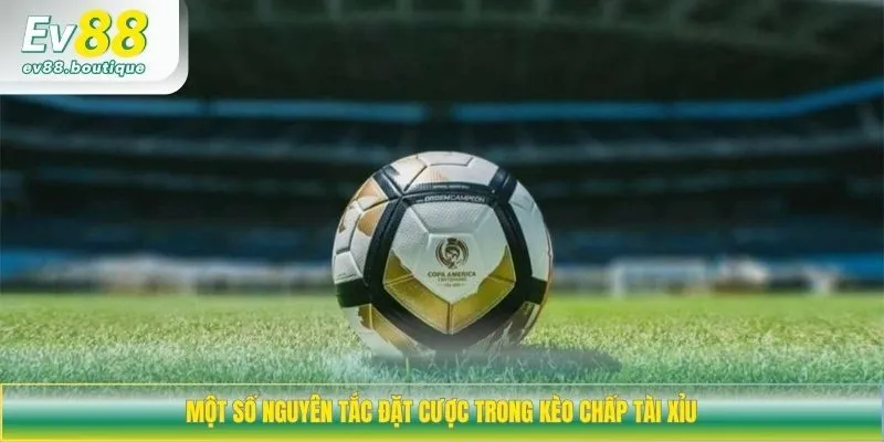 Một số nguyên tắc đặt cược trong kèo chấp tài xỉu