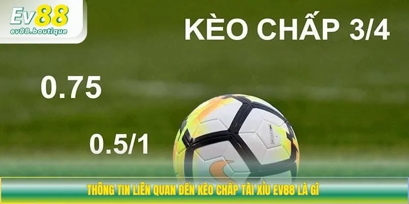 Thông tin liên quan đến kèo chấp tài xỉu EV88 là gì 